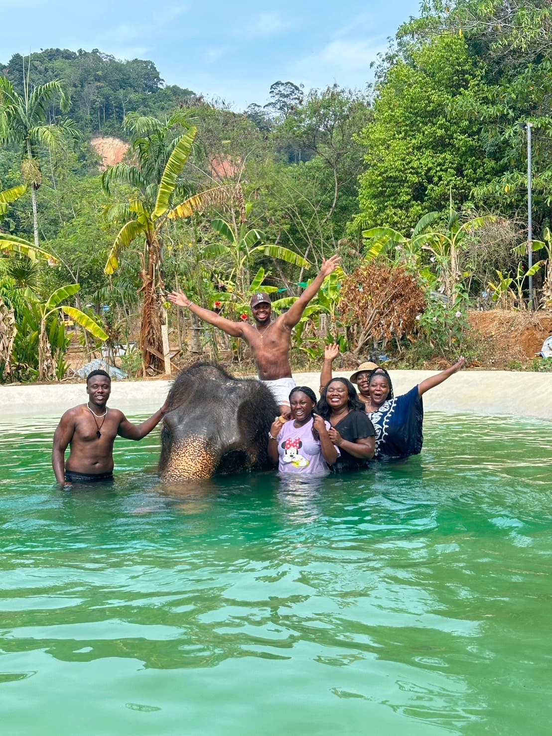 Program A Play with elephants